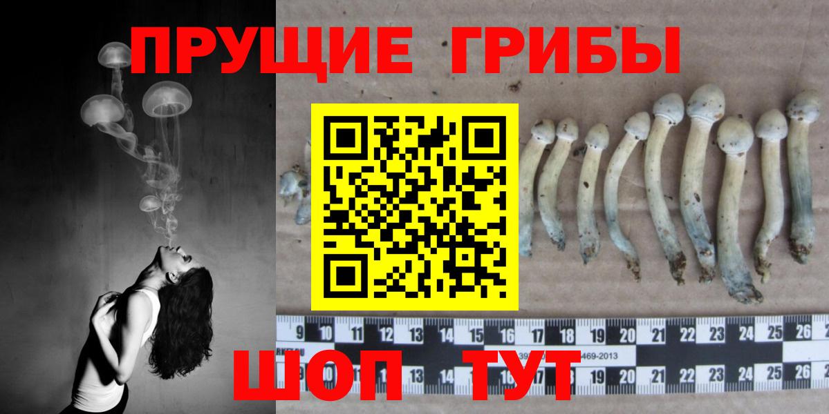 Галлюциногенные грибы прущие грибы  Вход с VPN  Воскресенск 